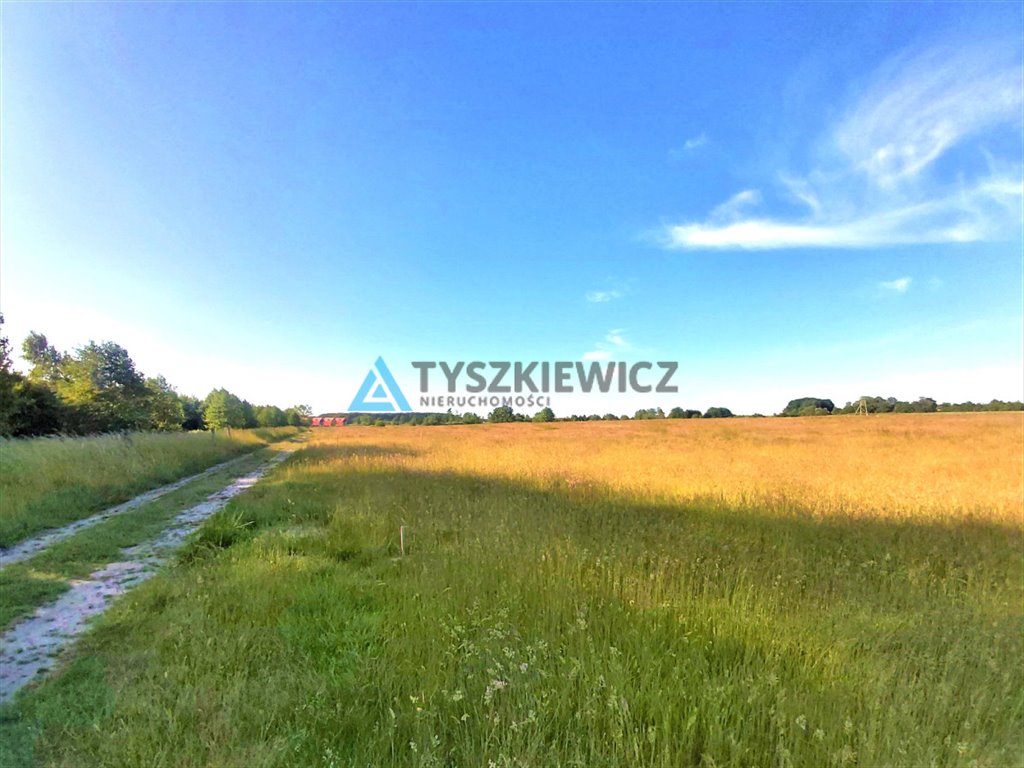 Działka rolna na sprzedaż Słajszewo  3 000m2 Foto 3