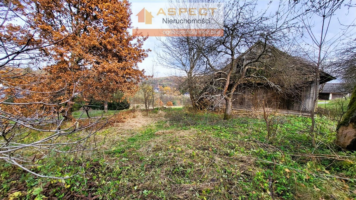 Działka budowlana na sprzedaż Barycz  2 200m2 Foto 3