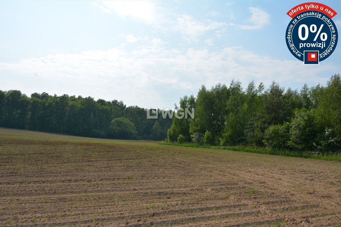 Działka budowlana na sprzedaż Koziki  1 400m2 Foto 5