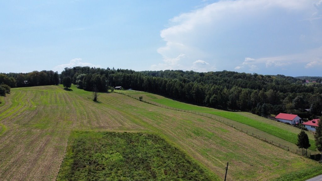 Działka inna na sprzedaż Rzeszów, Nadziei  3 005m2 Foto 3