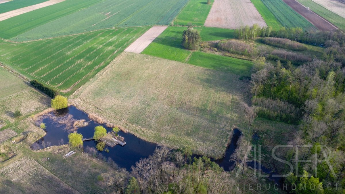 Dom na sprzedaż Rogów  120m2 Foto 4