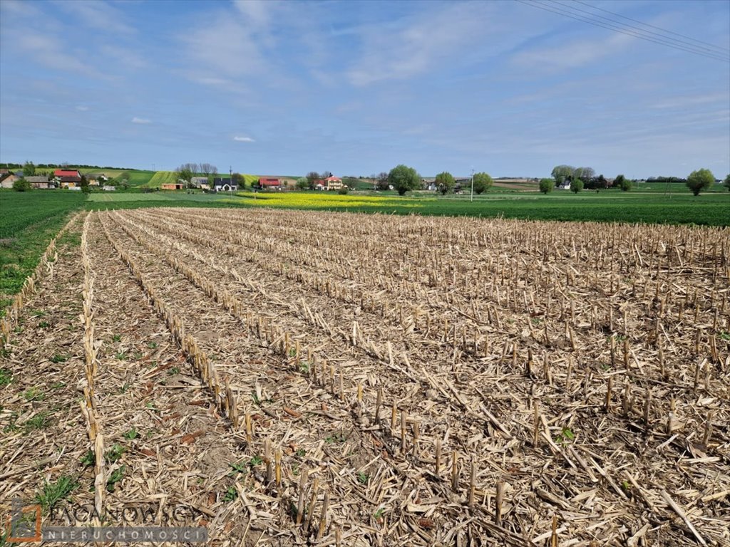 Działka budowlana na sprzedaż Goszcza  800m2 Foto 3