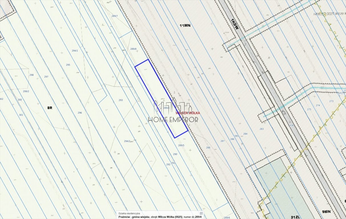 Sprzedam działkę 5000 m² w Wilczej Wólce, rolnicza, bez zabudowy: Wilcza Wólka: Prażmowska