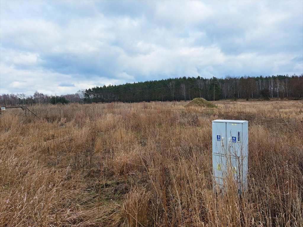 Działka przemysłowo-handlowa na sprzedaż Bolechowo, Bolechowo, Krańcowa  6 215m2 Foto 9