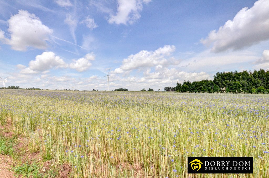 Działka rolna na sprzedaż Suwałki  3 000m2 Foto 16