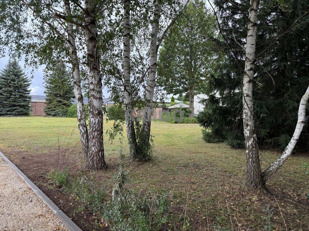Magazyn na wynajem Iłowa  350m2 Foto 7