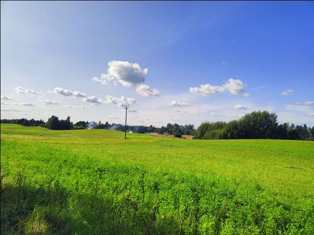 Działka rolna na sprzedaż Wołowno  9 900m2 Foto 3