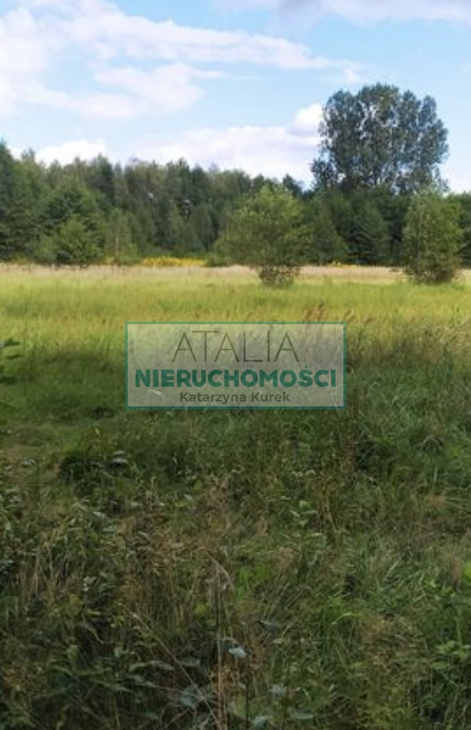 Zapraszam do zakupu dużej działki 4100 m² z możliwością podziału Krupia Wólka  4 100m2 Foto 1