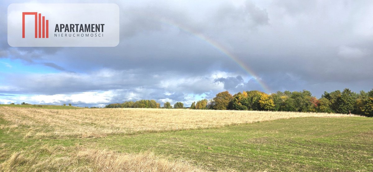 Działka budowlana na sprzedaż Gołębiewo Wielkie  3 612m2 Foto 1