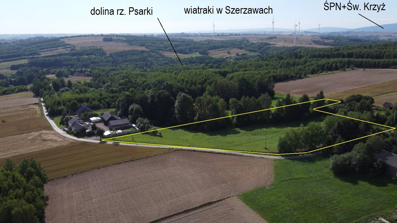 Działka budowlana na sprzedaż Radkowice-Kolonia  10 921m2 Foto 4