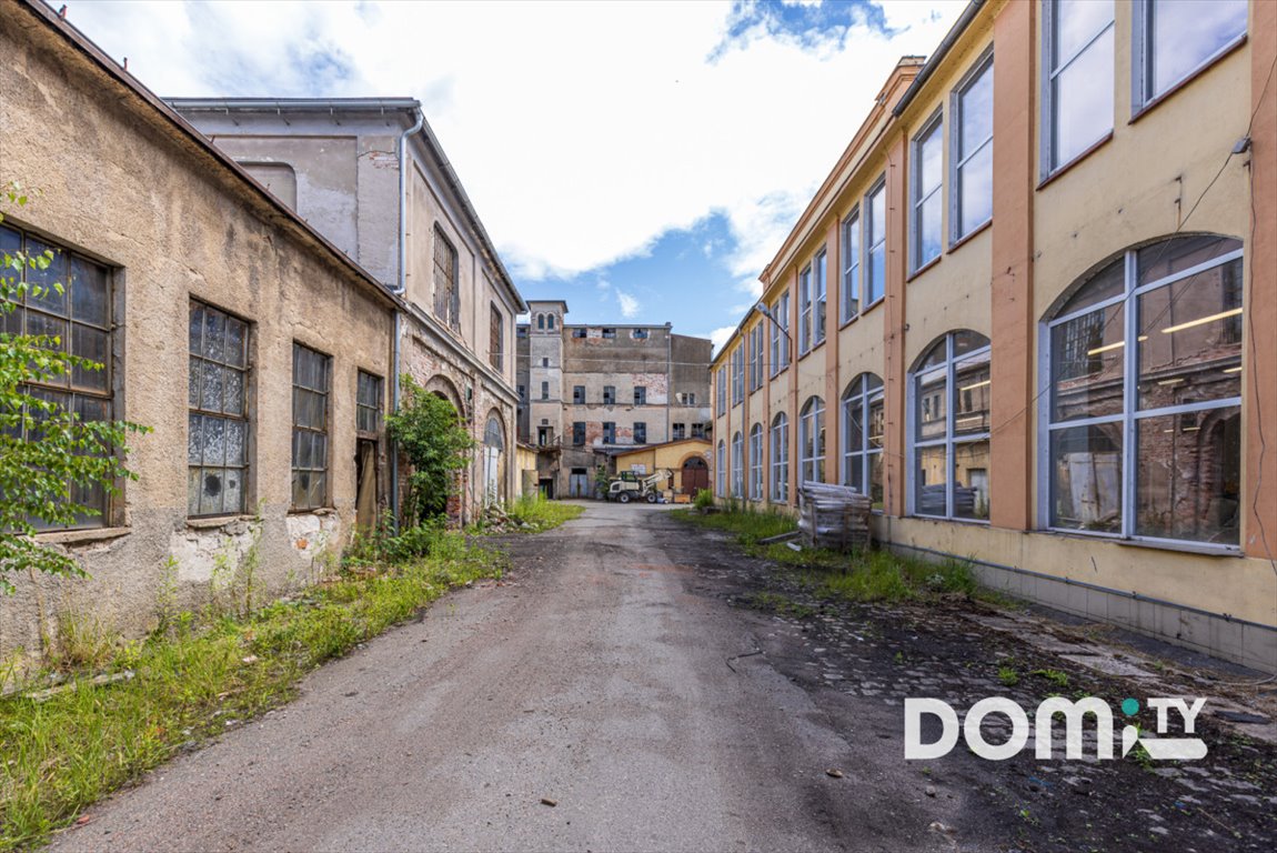 Lokal użytkowy na sprzedaż Dąbrowica  11 500m2 Foto 31