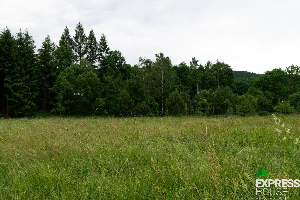 Działka budowlana na sprzedaż Stronie Śląskie  4 069m2 Foto 7