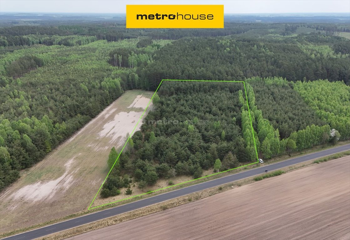 Działka leśna 7,47 ha z starodrzewem i dojazdem polecam Opiłki Płoskie  74 600m2 Foto 1