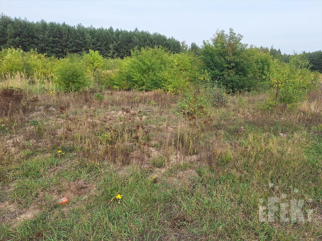 Działka komercyjna na sprzedaż Marków-Świnice  1 500m2 Foto 3