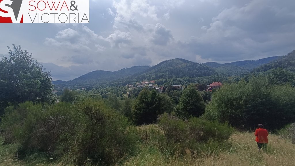 Zdjęcie 5