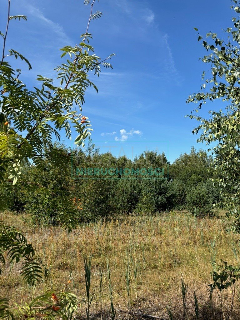 Działka budowlana na sprzedaż Jaktorów  8 083m2 Foto 1