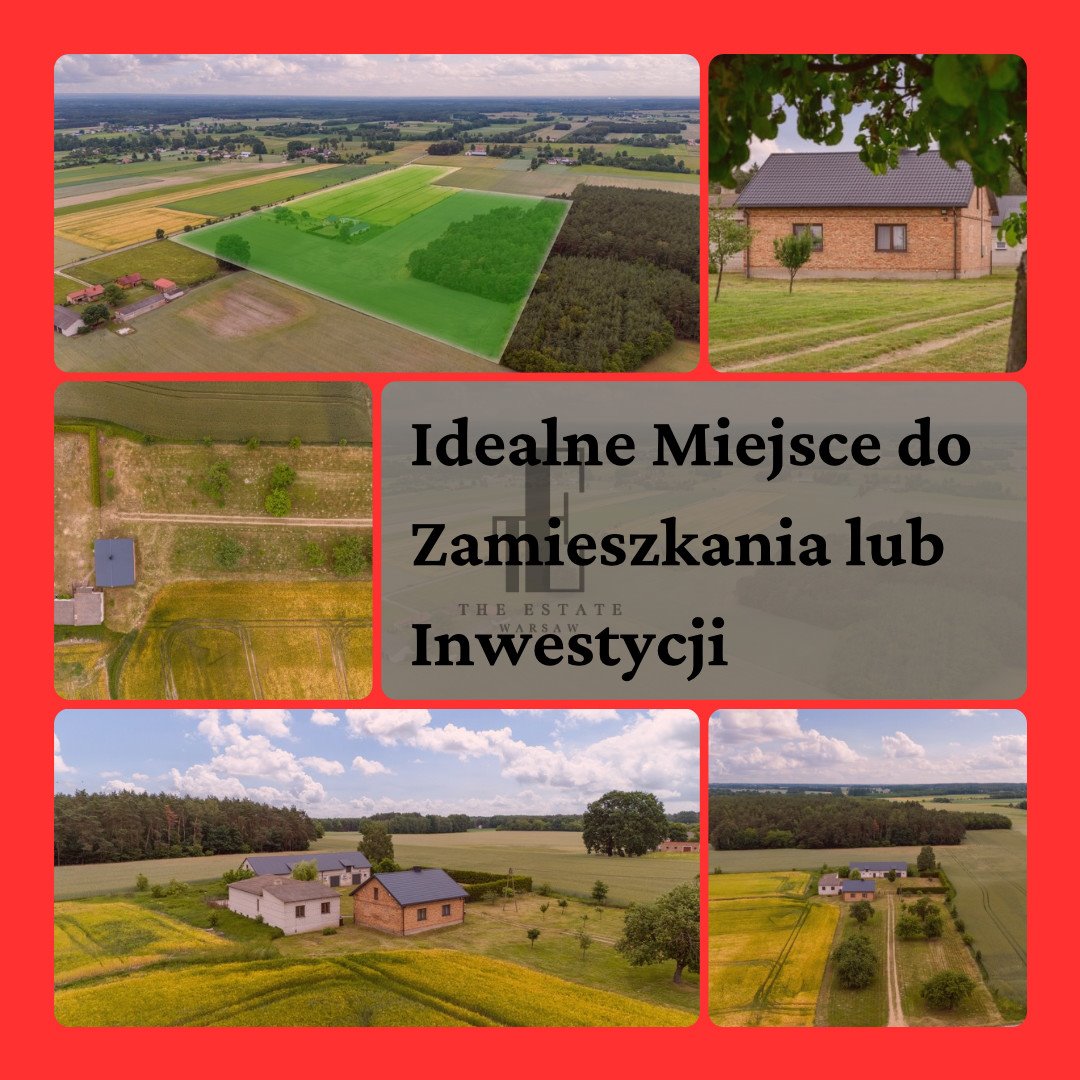 Działka siedliskowa na sprzedaż Czarnoty  130 000m2 Foto 1