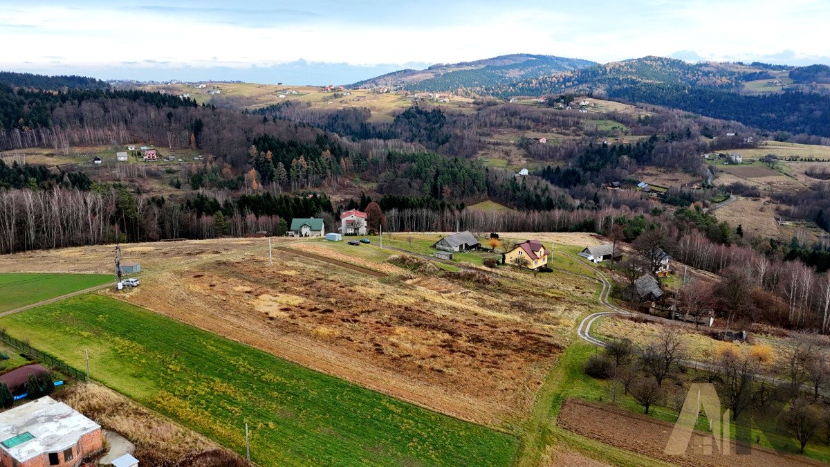 Działka budowlana na sprzedaż Paszyn  5 400m2 Foto 5