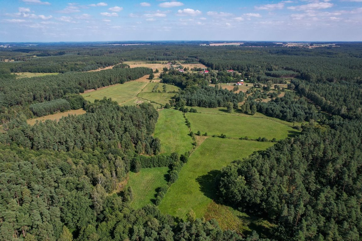 Działka budowlana na sprzedaż Lękwica  14 600m2 Foto 5