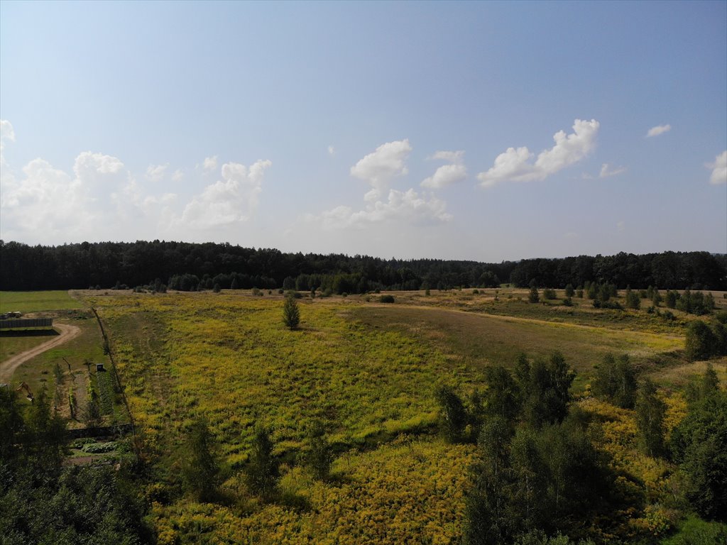 Działka budowlana na sprzedaż Olszyna Dolna  1 403m2 Foto 9