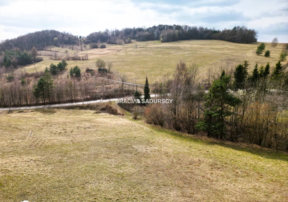 Malownicza działka rolna 44 ar z dostępem do mediów i widokami Jerzmanowice, Zachodnia  4 400m2 Foto 1