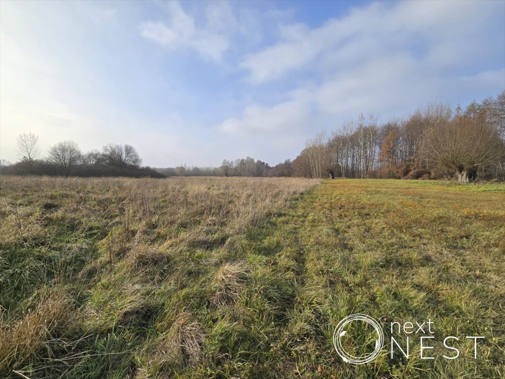 Działka siedliskowa na sprzedaż Wilczkowice Dolne  8 000m2 Foto 8