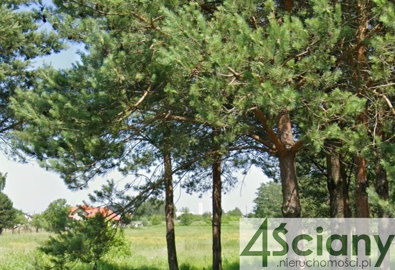 Działka inwestycyjna na sprzedaż Janki  12 900m2 Foto 1