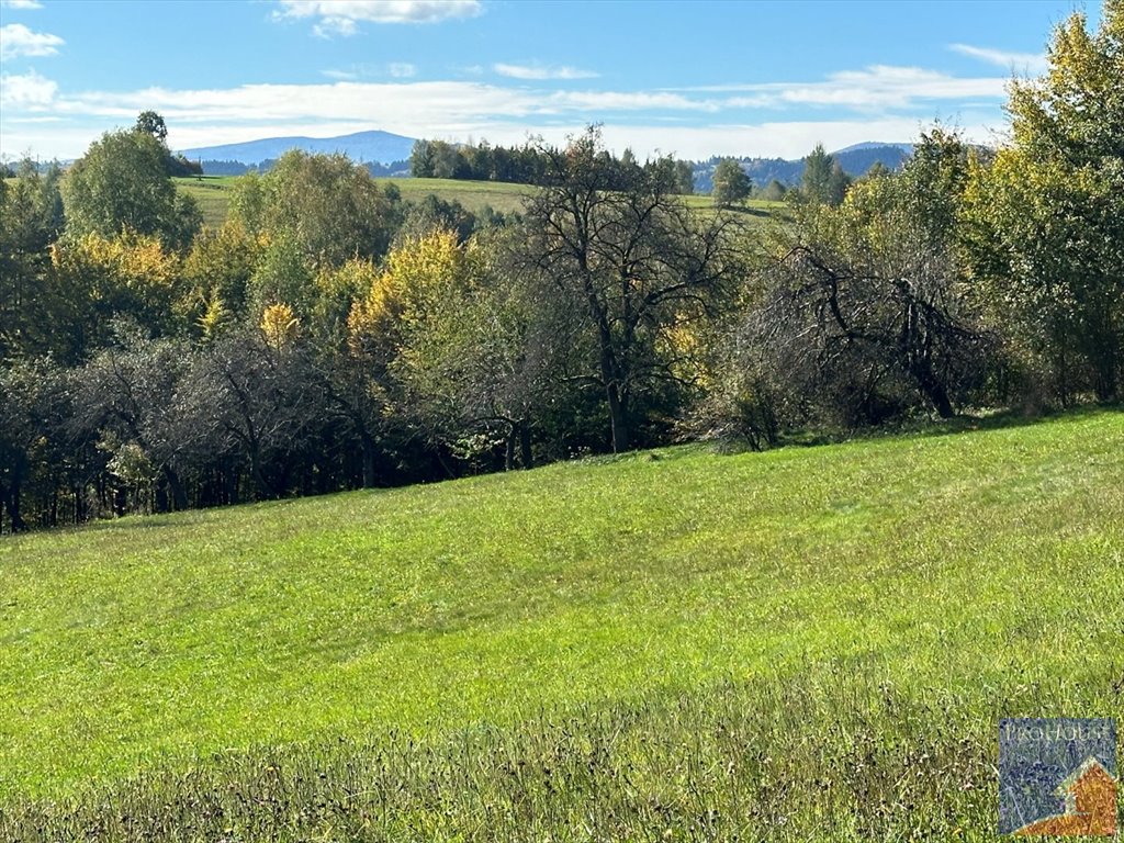 Działka budowlana na sprzedaż Młynne  21 444m2 Foto 2