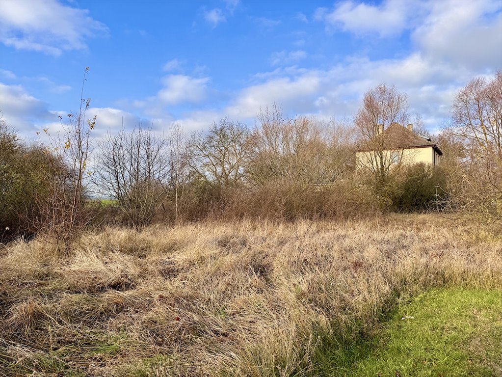 Działka inna na sprzedaż Niemcy, Penkun, Penkun, Am Bahnhof 10  1 300m2 Foto 4