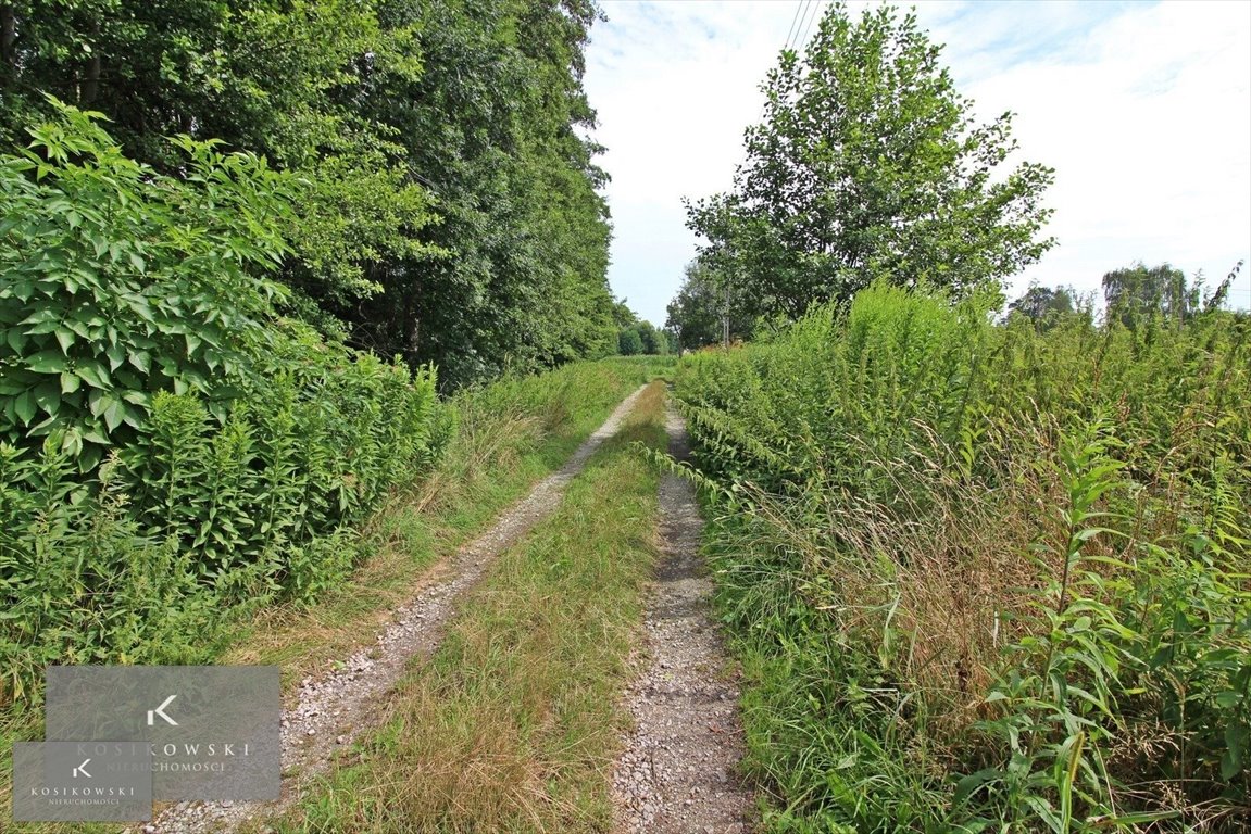 Działka inna na sprzedaż Namysłów, Smogorzów  2 260m2 Foto 10