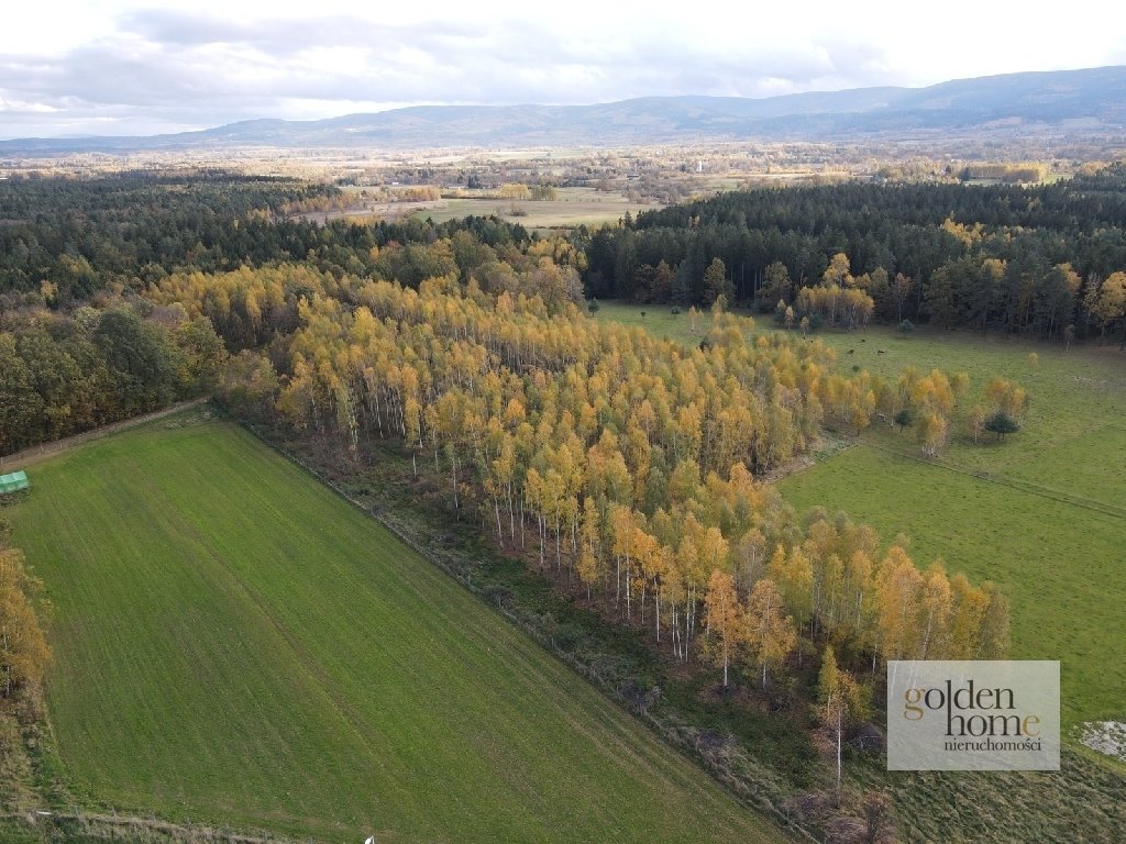 Działka budowlana na sprzedaż Leśna, Świecie  950m2 Foto 10