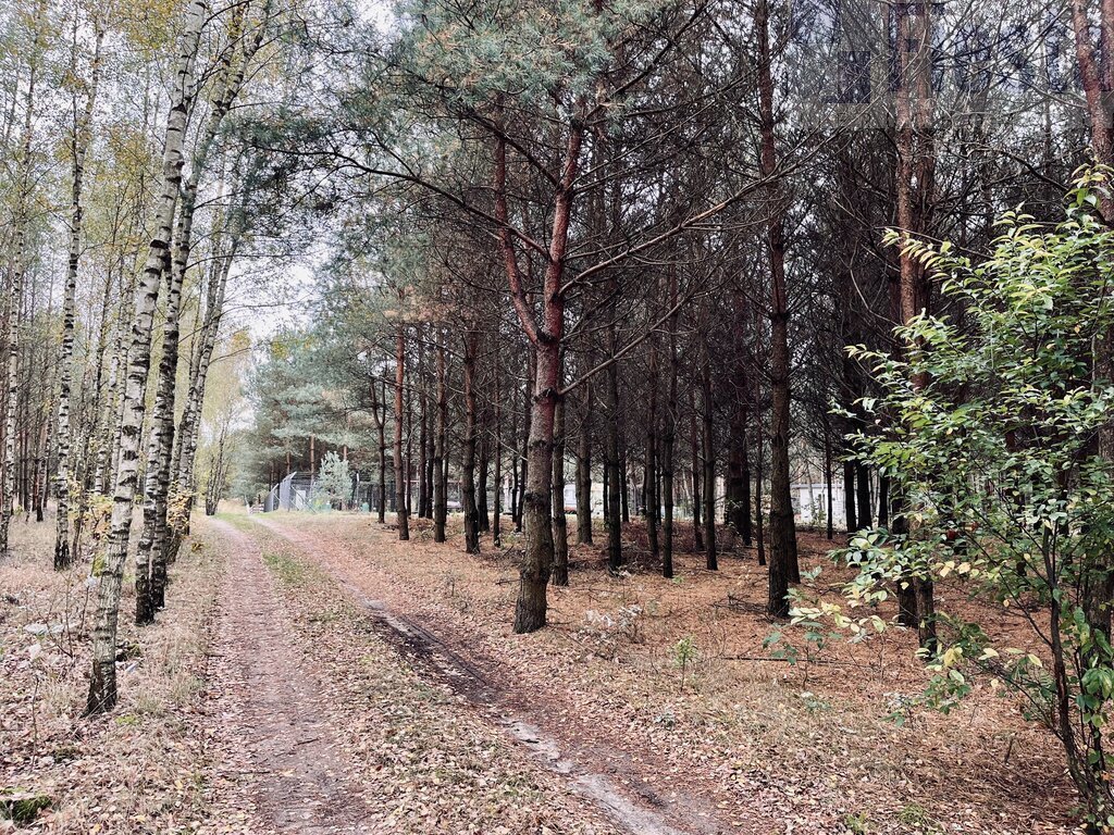 Działka rolna na sprzedaż Sosnowo  2 303m2 Foto 4