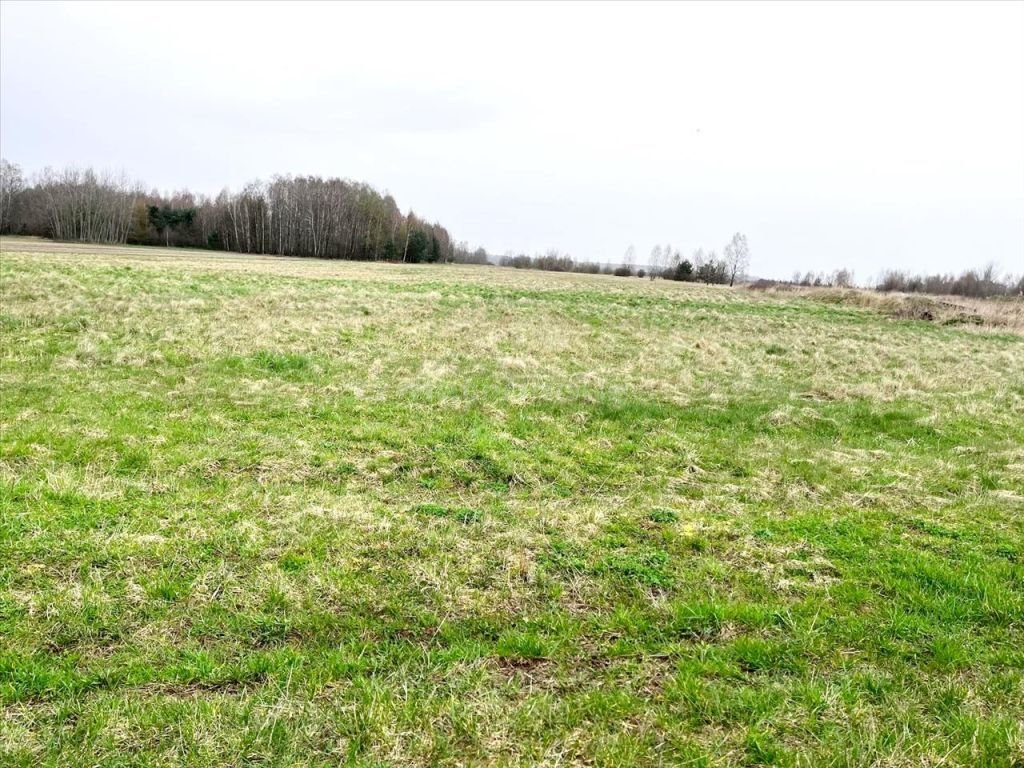 Działka rolna na sprzedaż Grzymałków  21 600m2 Foto 4