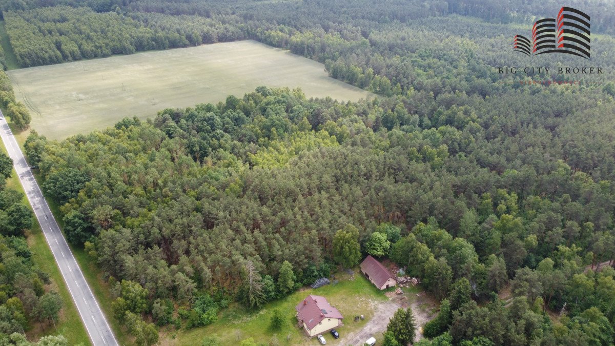 Działka leśna z możliwością zabudowy przy drodze krajowej 63 Lipinki  50 359m2 Foto 1