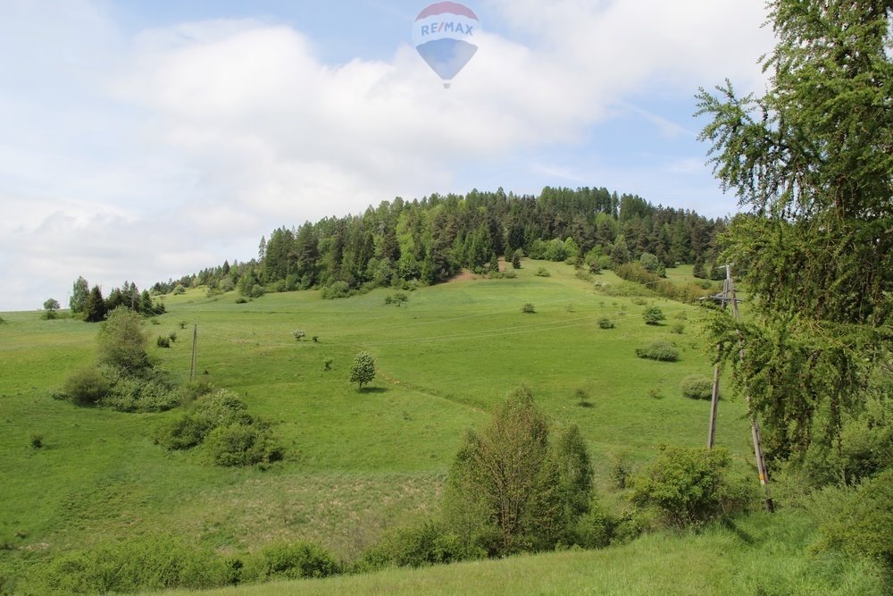 Działka leśna na sprzedaż Krośnica  8 049m2 Foto 8