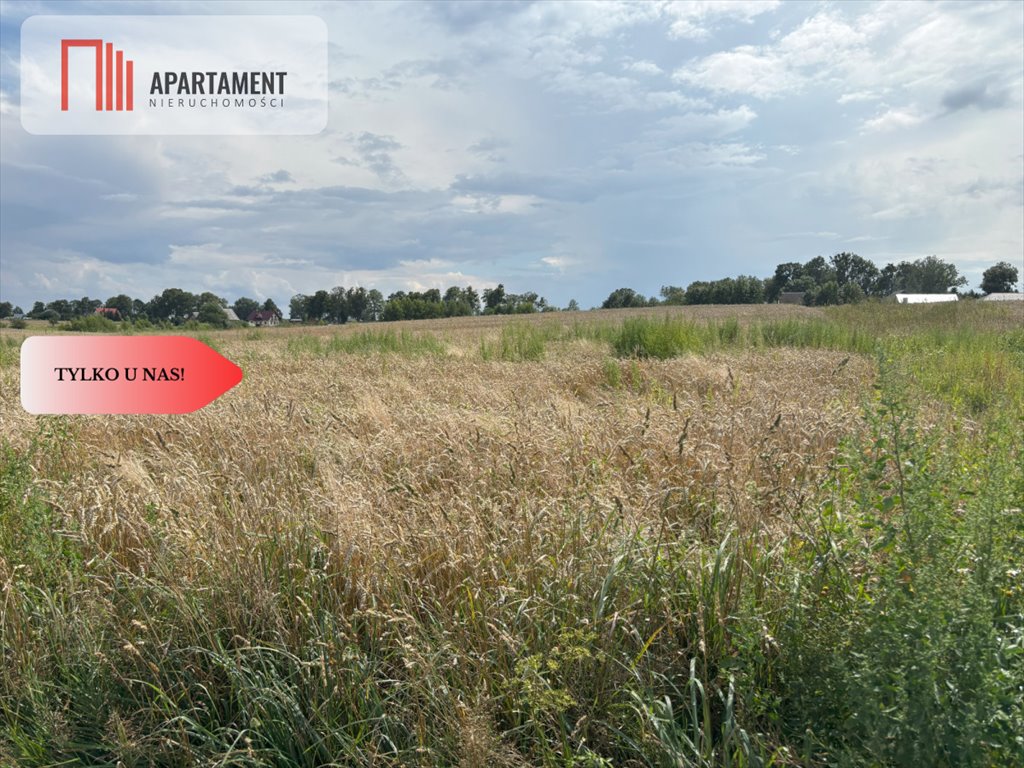 Działka z projektem domu, pełne formalności, 3047 m² Gołębiewo Wielkie, Dalii  3 047m2 Foto 1