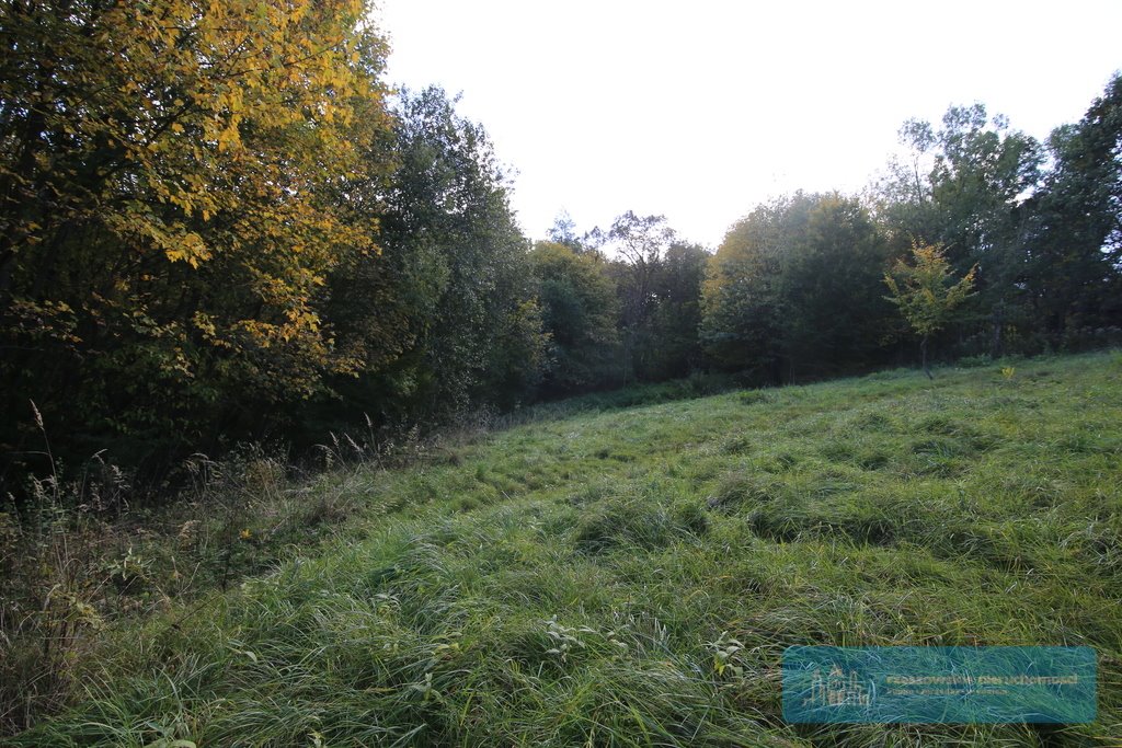 Działka budowlana na sprzedaż Hucisko Jawornickie  4 400m2 Foto 7