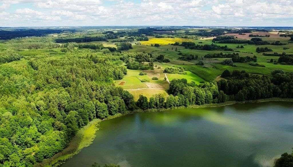 Działka rolna na sprzedaż Świętajno  1 609m2 Foto 8