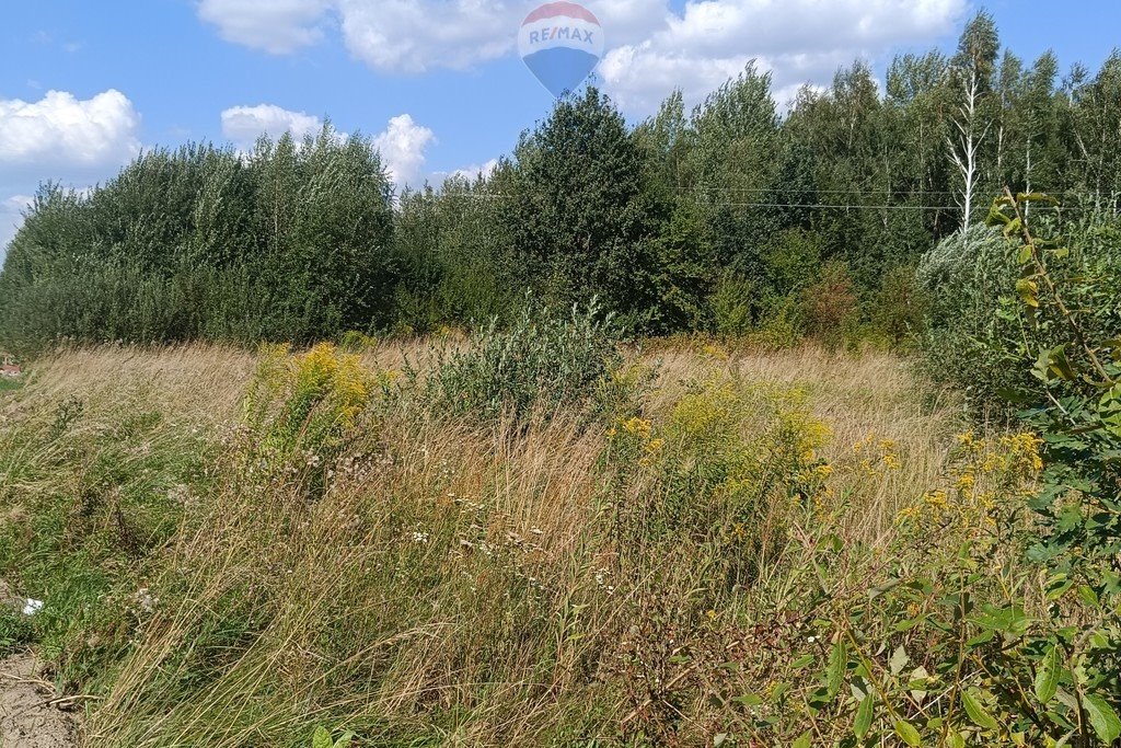 Działka rolna na sprzedaż Skaryszew, Zielona  9 678m2 Foto 5