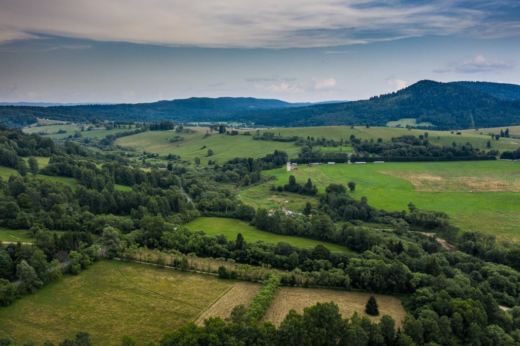 Działka inna na sprzedaż Smolnik  843 600m2 Foto 8