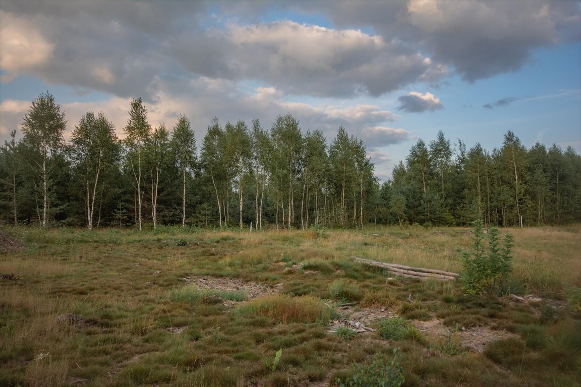 Działka inna na sprzedaż Kowalewo  1 005m2 Foto 12