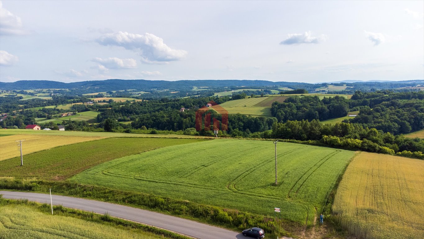 Działka budowlana na sprzedaż Wielopole Skrzyńskie  3 650m2 Foto 4