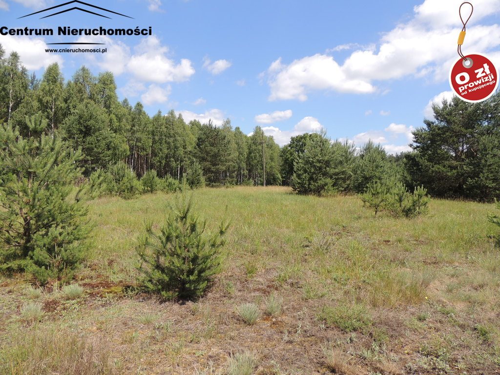 Działka siedliskowa na sprzedaż Krzyż 24 900m2 Foto 1 Działka siedliskowa na sprzedaż Krzyż 24 900m2 Foto 1