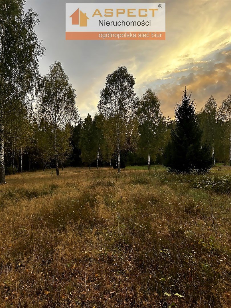 Działka budowlana na sprzedaż LIPOWY MOST, LIPOWY MOST  3 000m2 Foto 1