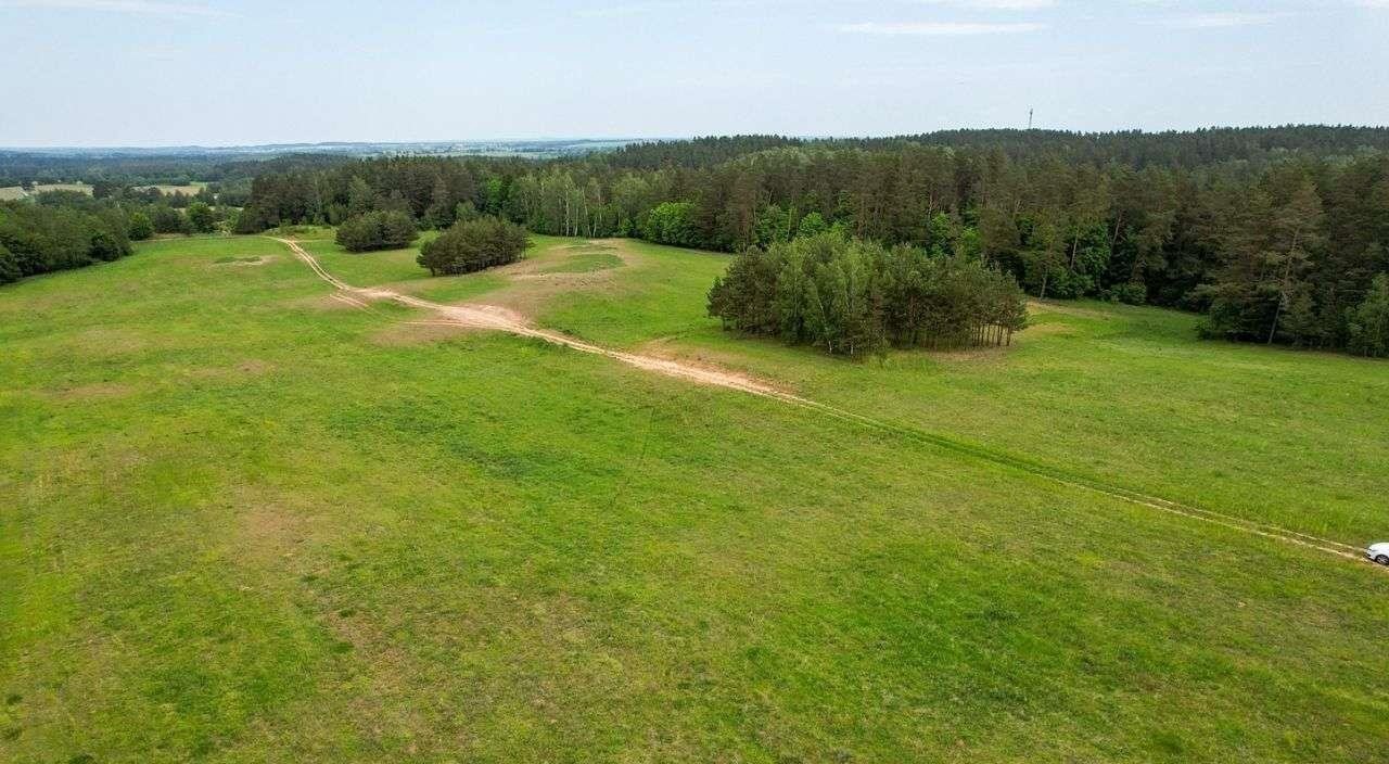 Działka rolna na sprzedaż Nowe Krzywe  3 011m2 Foto 6