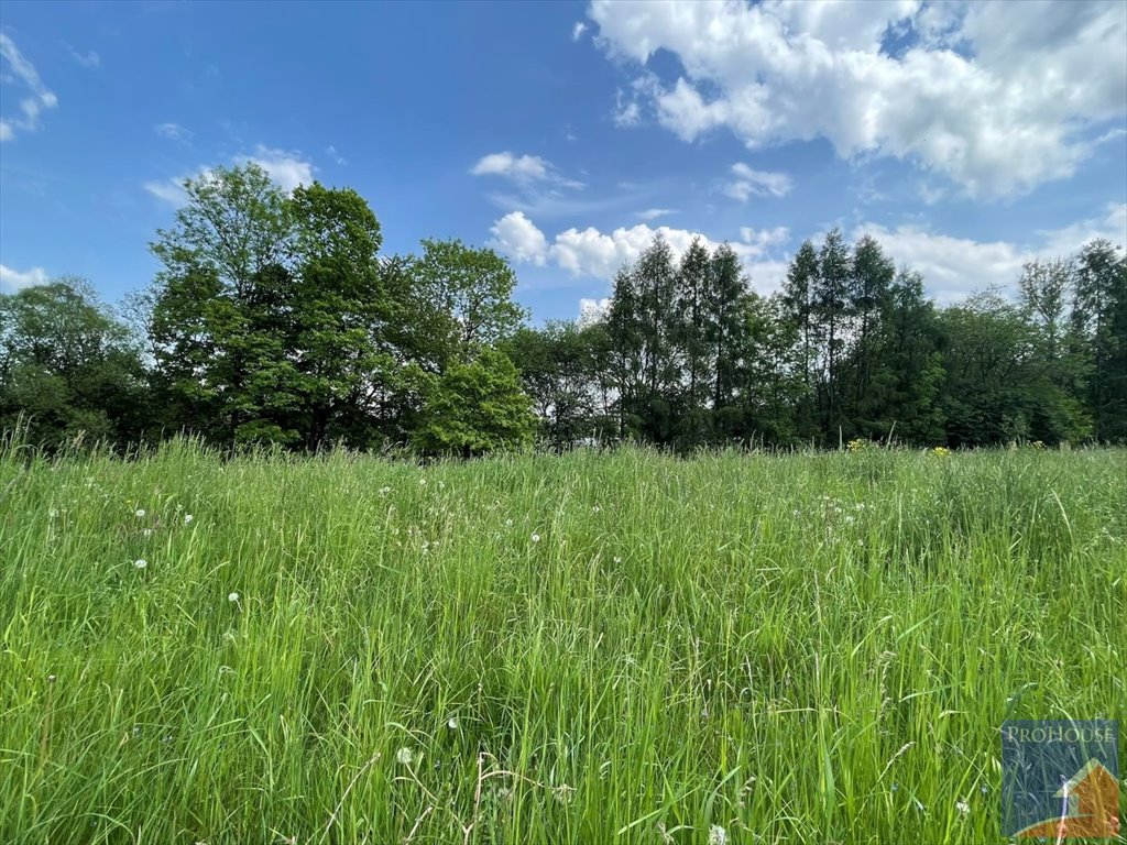 Działka budowlana na sprzedaż Podłopień  1 200m2 Foto 7