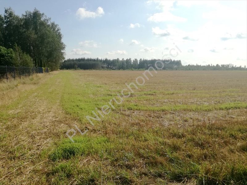 Działka rolna na sprzedaż Krze Duże  40 600m2 Foto 4