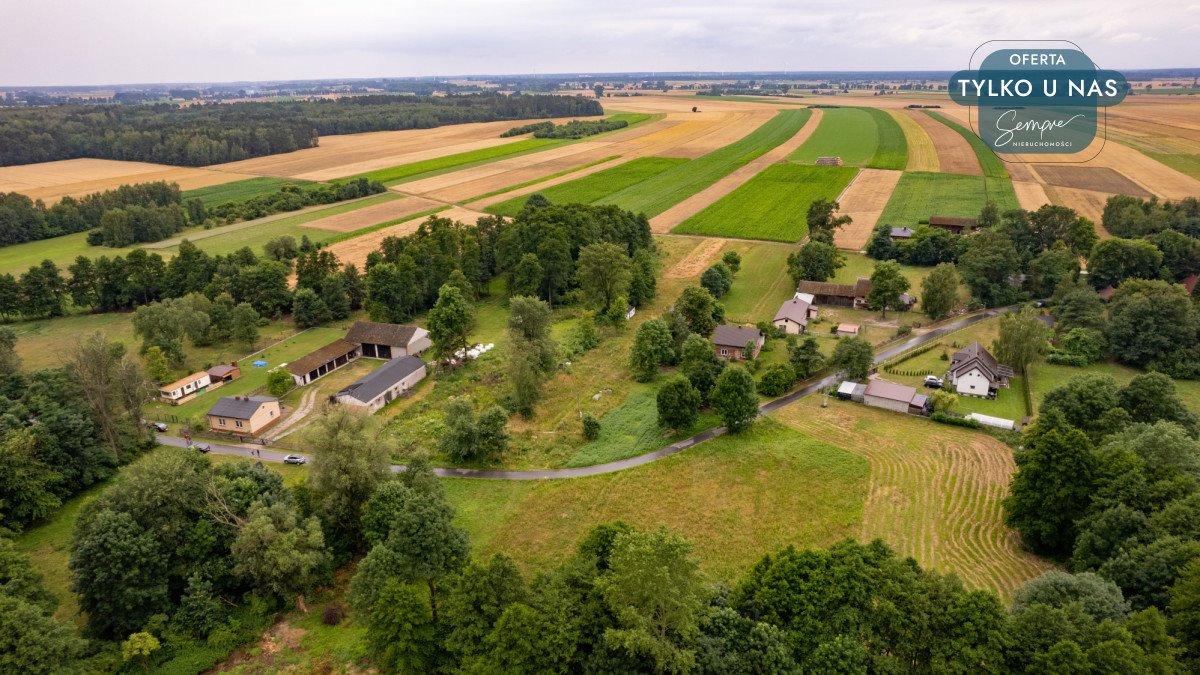 Działka budowlana na sprzedaż Magnusy  3 713m2 Foto 7