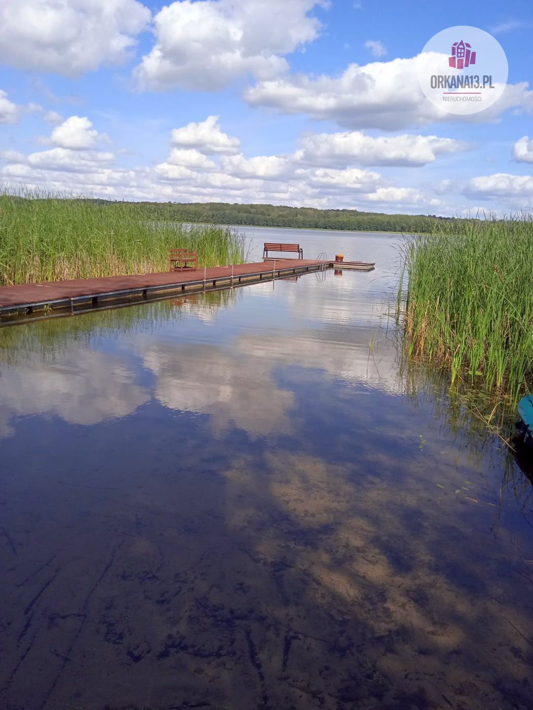 Działka rolna na sprzedaż Biesówko, Biesówko  4 093m2 Foto 11