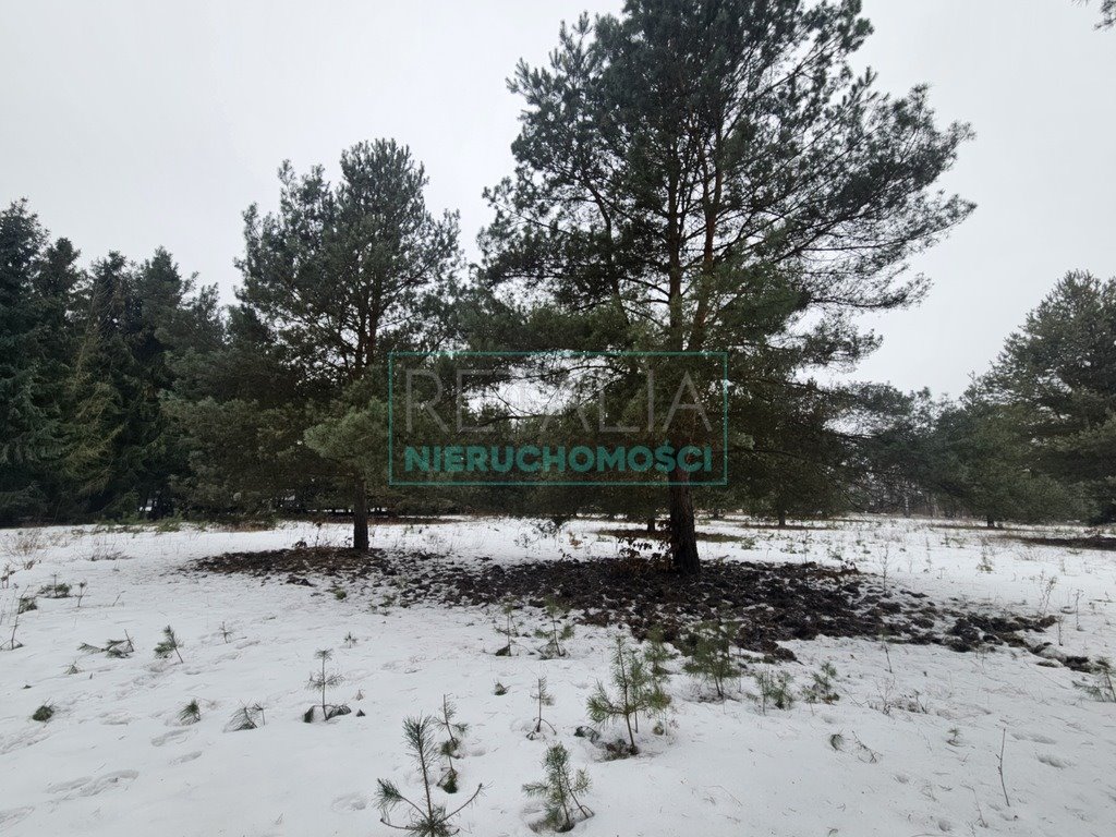 Działka 1247 m² w Ojrzanowie – idealna pod dom! Ojrzanów  1 247m2 Foto 1